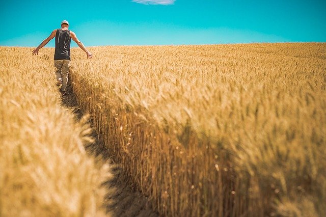 agriculture biologique